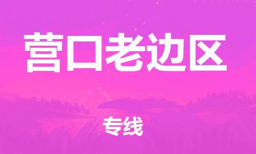 嘉兴到营口老边区物流公司-物流专线省时省心「全境直达」