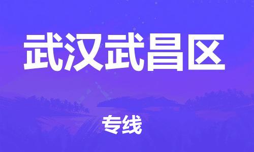上海到武汉武昌区货运公司-货运公司多少一方「市县闪送」