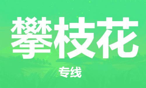 兴化到攀枝花物流公司-兴化到攀枝花物流专线-兴化直达攀枝花货运