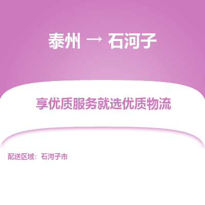 泰州到石河子物流专线-泰州到石河子物流公司
